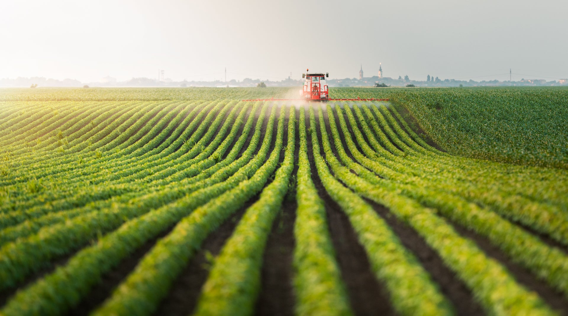 Farming equipment fertilizing rows of crops.